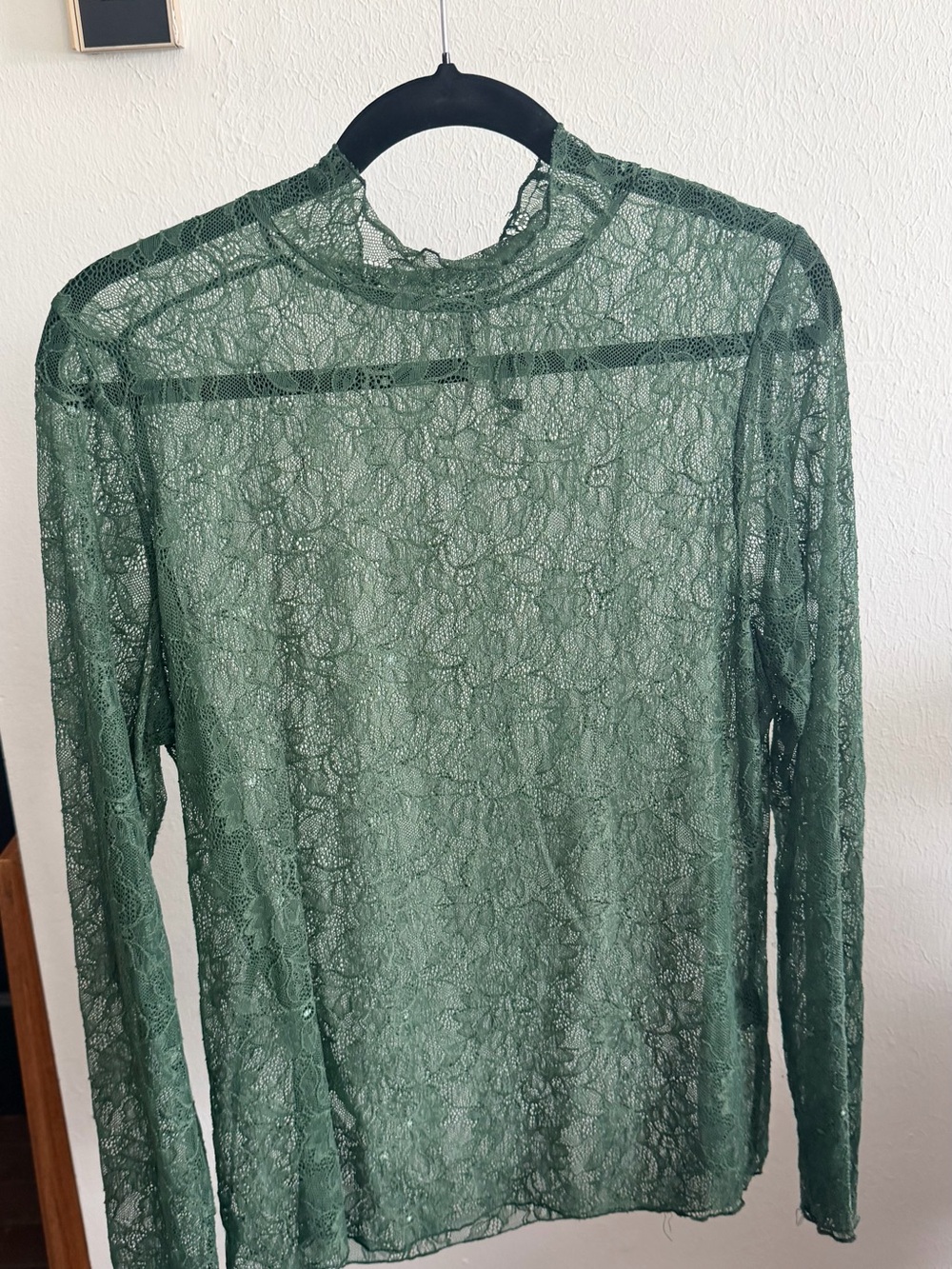 Anthropologie Delicate Green Lace Mock-Neck Long Sleeve Top